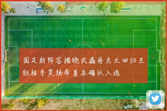 国足新阵容揭晓武磊蒋光太回归王钰栋李昊杨希基本确认入选