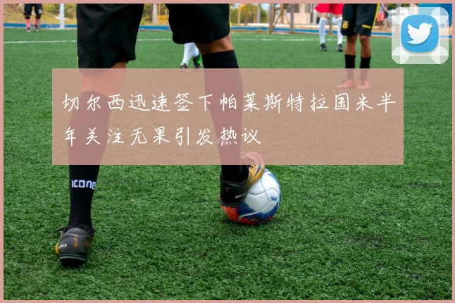 切尔西迅速签下帕莱斯特拉国米半年关注无果引发热议