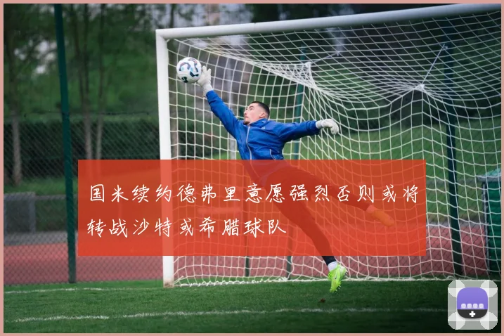国米续约德弗里意愿强烈否则或将转战沙特或希腊球队