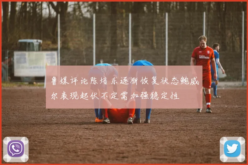 鲁媒评论陈培东逐渐恢复状态鲍威尔表现起伏不定需加强稳定性