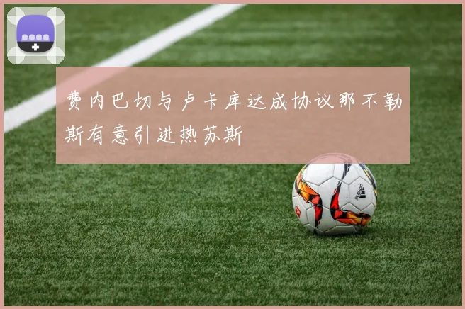 费内巴切与卢卡库达成协议那不勒斯有意引进热苏斯